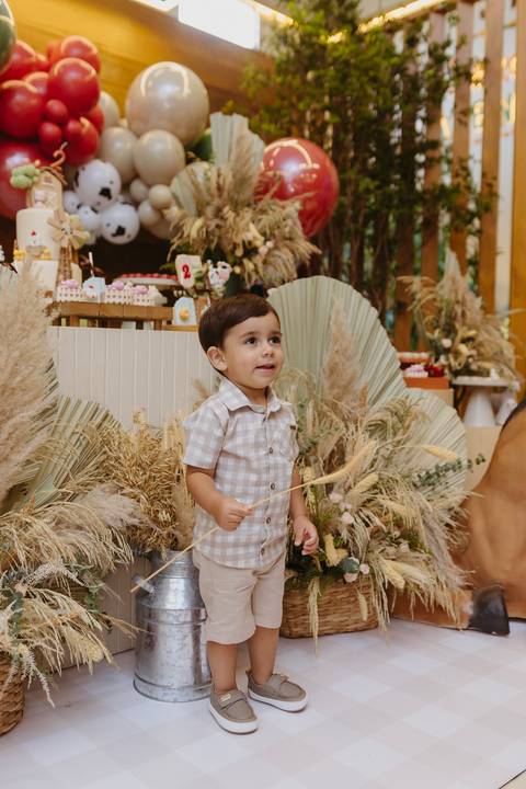 Fotógrafa aniversário infantil, Londrina, Cambé, fotos festa infantil, '