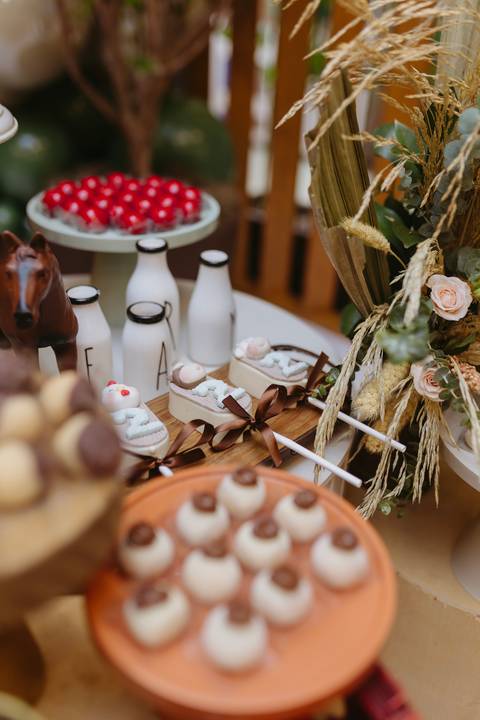 Fotógrafa aniversário infantil, Londrina, Cambé, fotos festa infantil, '