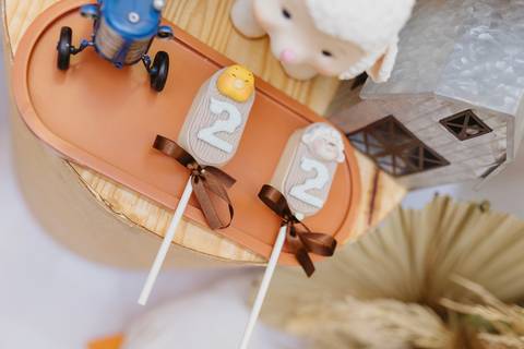 Fotógrafa aniversário infantil, Londrina, Cambé, fotos festa infantil, '