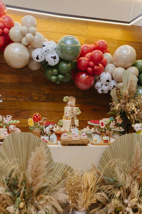 Fotógrafa aniversário infantil, Londrina, Cambé, fotos festa infantil, '