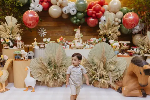 Fotógrafa aniversário infantil, Londrina, Cambé, fotos festa infantil, '