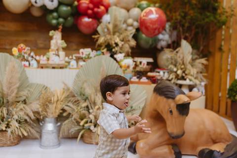 Fotógrafa aniversário infantil, Londrina, Cambé, fotos festa infantil, '