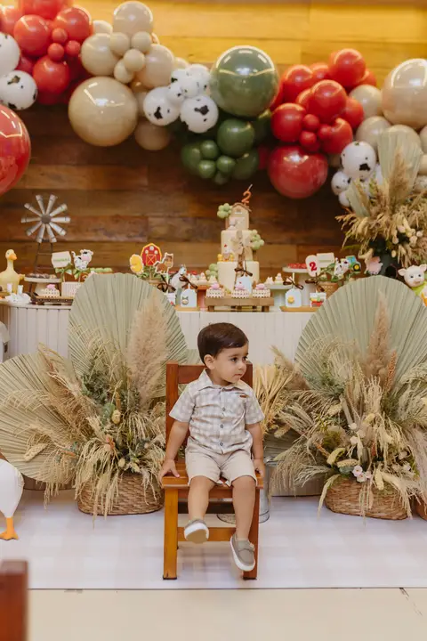 Fotógrafa aniversário infantil, Londrina, Cambé, fotos festa infantil, '