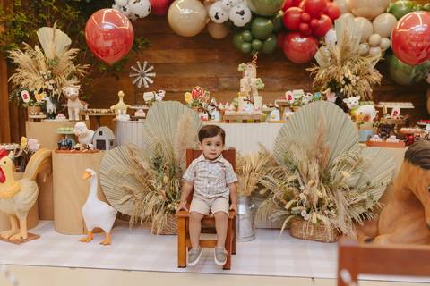 Fotógrafa aniversário infantil, Londrina, Cambé, fotos festa infantil, '