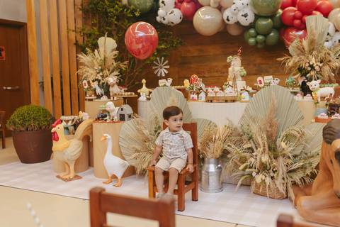 Fotógrafa aniversário infantil, Londrina, Cambé, fotos festa infantil, '