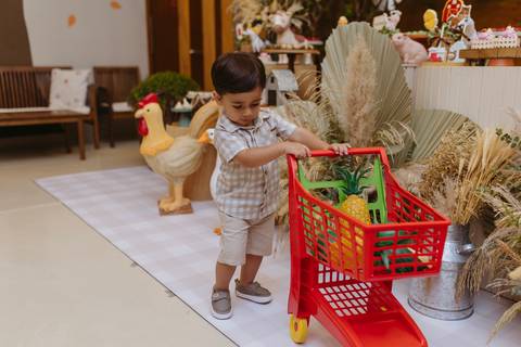 Fotógrafa aniversário infantil, Londrina, Cambé, fotos festa infantil, '