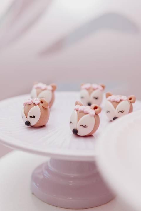 Fotógrafa aniversário infantil, Londrina, Cambé, fotos festa infantil, '