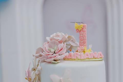 Fotógrafa aniversário infantil, Londrina, Cambé, fotos festa infantil, '