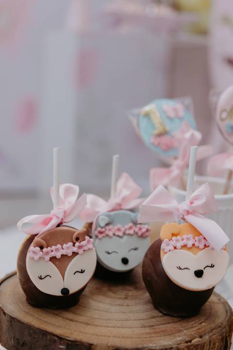 Fotógrafa aniversário infantil, Londrina, Cambé, fotos festa infantil, '