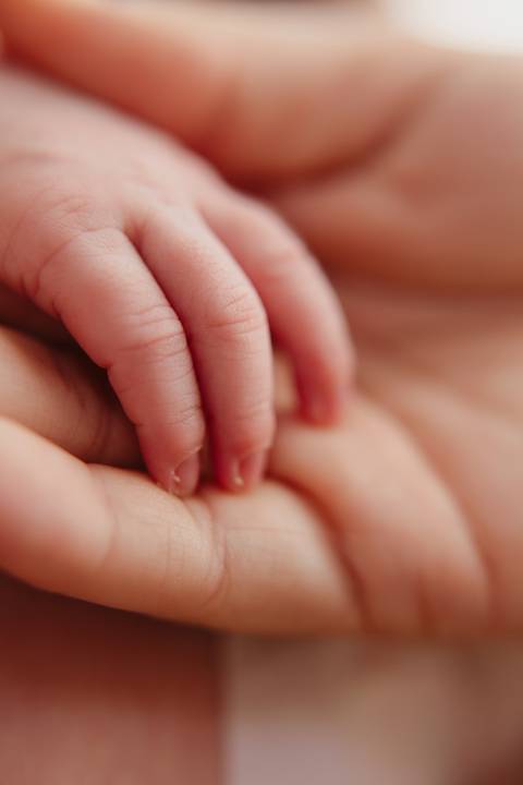 Ensaio Newborn, Ensaio Newborn Londrina, Ensaio Newborn Cambé, Ensaio Newborn Rolândia, Ensaio '