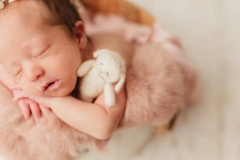 Ensaio Newborn, Ensaio Newborn Londrina, Ensaio Newborn Cambé, Ensaio Newborn Rolândia, Ensaio '