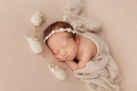 Ensaio Newborn, Ensaio Newborn Londrina, Ensaio Newborn Cambé, Ensaio Newborn Rolândia, Ensaio '