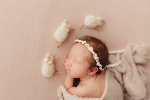 Ensaio Newborn, Ensaio Newborn Londrina, Ensaio Newborn Cambé, Ensaio Newborn Rolândia, Ensaio '