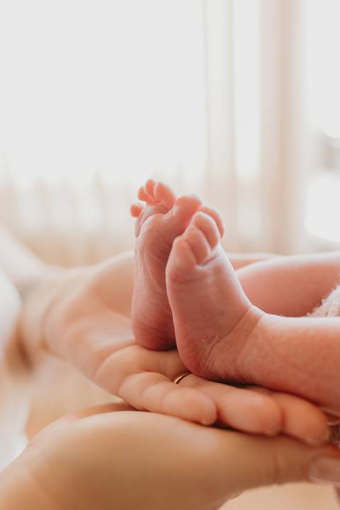 Ensaio Newborn, Ensaio Newborn Londrina, Ensaio Newborn Cambé, Ensaio Newborn Rolândia, Ensaio '