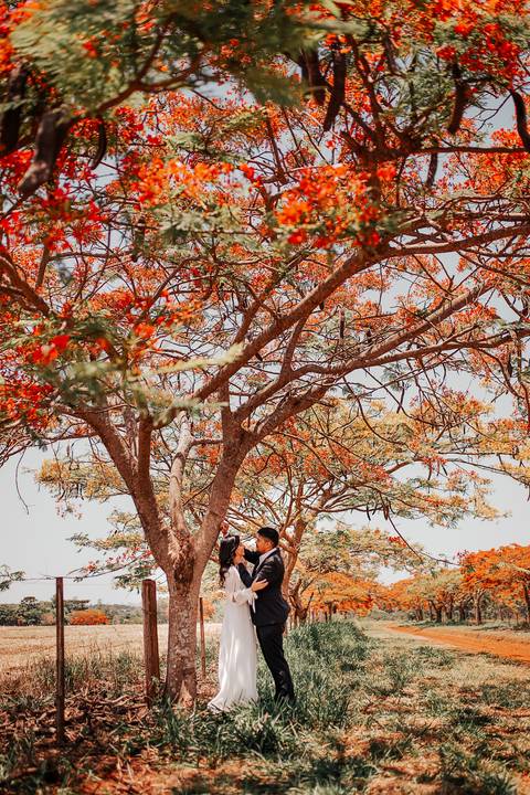 Ensaio de Casal Cambé, ensaio de casal, ensaio de casal londrina, ensaio de casal rolandia, ensaio de namorados, ensaio para casar, pre weedigg cambé, ensaio externo de casal londrina, ensaio dia dos namorados'