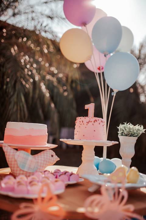 Aniversário Londrina, Aniversário 1 Ano, Fotógrafo de Aniversário Londrina, Aniversário bebê'