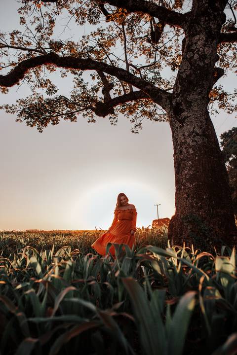 Ensaio de Familia Londrina, fotógrafa londrina, ensaio londrina, ensaio gestante londrina, gestante londrina, ensaio de bebe londrina'