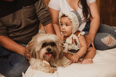 acompanhamento mensal, acompanhamento trimestral, ensaio de bebe, ensaio mensal de bebe, smash the cake, acompanhamento mensal londrina, fotografo de bebe cambé, fotografo de bebe londrina, ensaio de bebe de 1 ano, fotografo de bebe rolandia, Gi Pitori'
