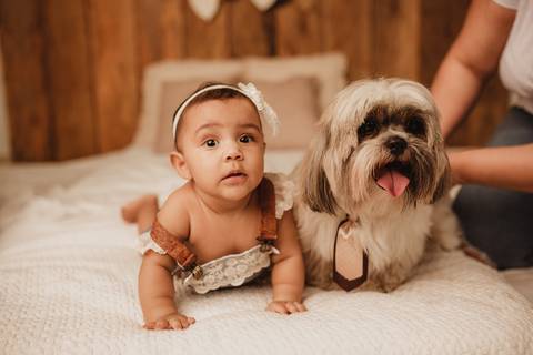 acompanhamento mensal, acompanhamento trimestral, ensaio de bebe, ensaio mensal de bebe, smash the cake, acompanhamento mensal londrina, fotografo de bebe cambé, fotografo de bebe londrina, ensaio de bebe de 1 ano, fotografo de bebe rolandia, Gi Pitori'