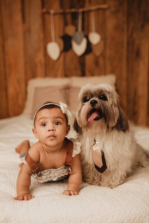 acompanhamento mensal, acompanhamento trimestral, ensaio de bebe, ensaio mensal de bebe, smash the cake, acompanhamento mensal londrina, fotografo de bebe cambé, fotografo de bebe londrina, ensaio de bebe de 1 ano, fotografo de bebe rolandia, Gi Pitori'