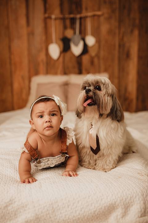 acompanhamento mensal, acompanhamento trimestral, ensaio de bebe, ensaio mensal de bebe, smash the cake, acompanhamento mensal londrina, fotografo de bebe cambé, fotografo de bebe londrina, ensaio de bebe de 1 ano, fotografo de bebe rolandia, Gi Pitori'