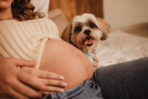 Ensaio de Gestante, Ensaio de Gestante Londrina, Ensaio de Gestante Cambé, Ensaio de Gestante Rolândia, Ensaio de Gestante no Studio, Gravidinha, Ensaio de Gestante Externo'