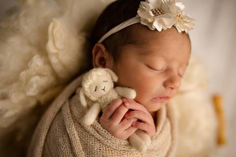 Ensaio Newborn, Ensaio Newborn Londrina, Ensaio Newborn Cambé, Ensaio Newborn Rolândia, Ensaio de bebê, Ensaio de Recém Nascido, ensaio newborn arapongas, ensaio newborn apucarana, ensaio de recem nascido cambé, ensaio de recem nascido londrina'