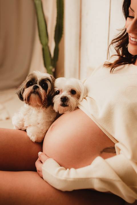 Ensaio de Gestante, Ensaio de Gestante Londrina, Ensaio de Gestante Cambé, Ensaio de Gestante Rolândia, Ensaio de Gestante no Studio, Gravidinha, Ensaio de Gestante Externo'