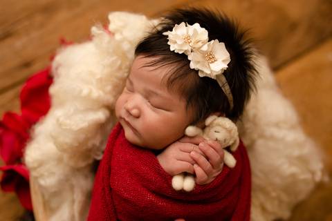 Ensaio Newborn, Ensaio Newborn Londrina, Ensaio Newborn Cambé, Ensaio Newborn Rolândia, Ensaio de bebê, Ensaio de Recém Nascido, ensaio newborn arapongas, ensaio newborn apucarana, ensaio de recem nascido cambé, ensaio de recem nascido londrina'