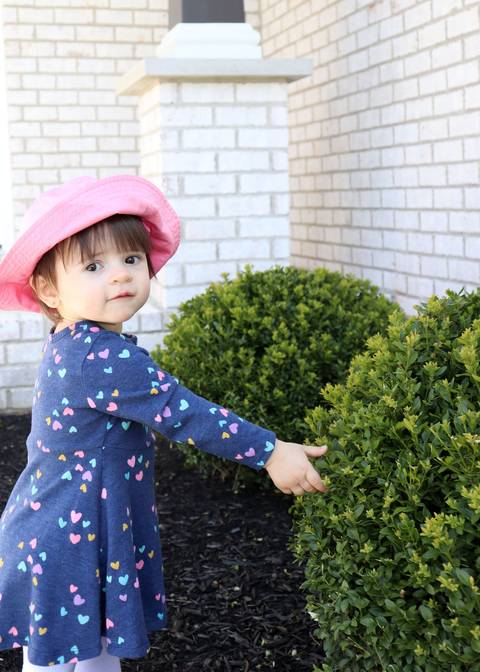 family photographer columbus indiana '