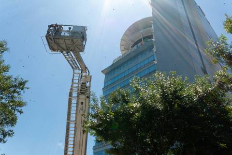 SIMULADO PREVENIR 2022'