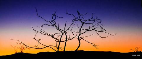 Pré Covid. Chapada dos Viadeiros - Goias '