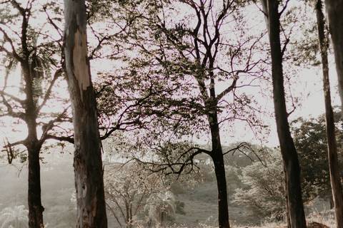 Ensaio casal em Betim - Pin Fotografia'