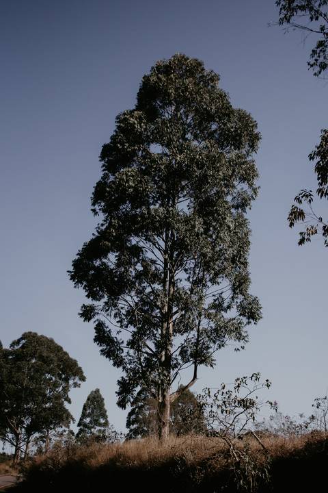 Ensaio de casamento no topo do mundo - Pin Fotografia '