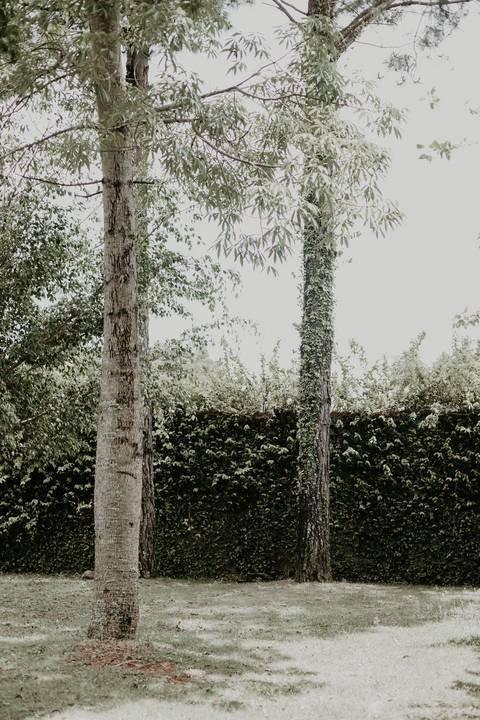 Ensaio casal da Debora e do Rafael no parque estadual serra do rola moça | Pin Fotografia -'