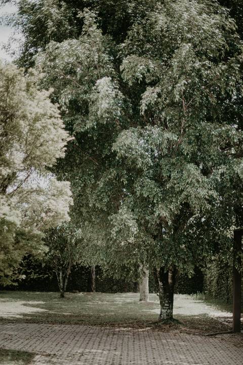 Ensaio casal da Debora e do Rafael no parque estadual serra do rola moça | Pin Fotografia -'