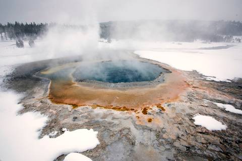 '