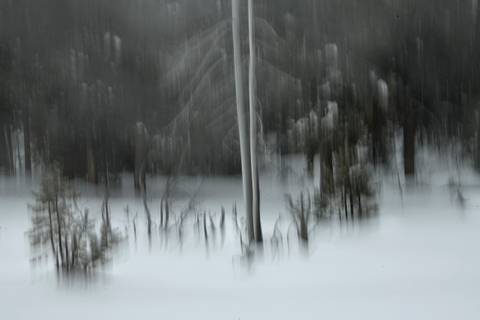 '