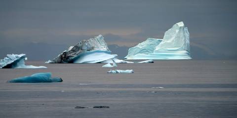 '
