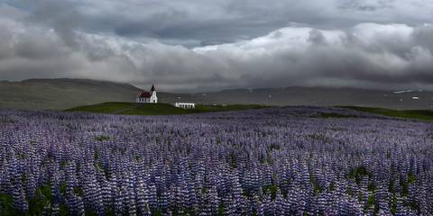 '
