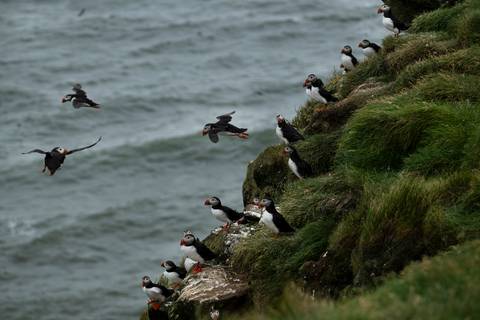 '