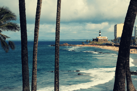 Praia da Barra e coqueiros'