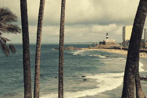 Praia da Barra e coqueiros'