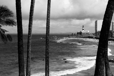 Praia da Barra e coqueiros/PB'