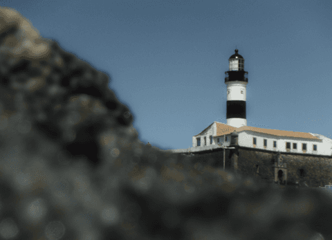 Farol da Barra e coral'