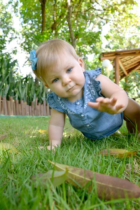 bebê engatinhando na grama'