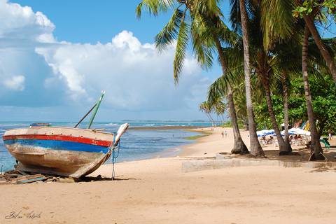 foto em cores praia mansa com um barco à esquerda e coqueiral à direta'