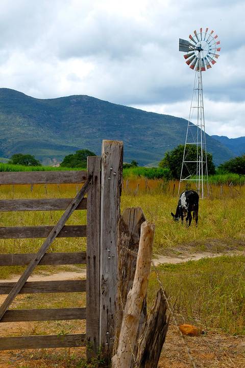 foto em cores de uma cancela defronte um pasto com uma vaca e um rodamoinho'