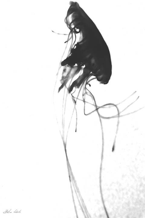 '