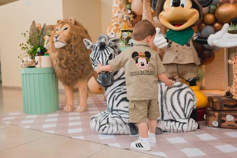 fotografia fotógrafo infantil taubate corujice festa infantil'